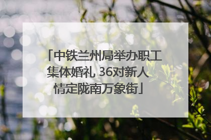 中铁兰州局举办职工集体婚礼 36对新人情定陇南万象街